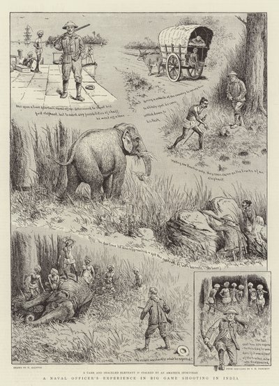 De ervaring van een marineofficier in het jagen op groot wild in India door William Ralston